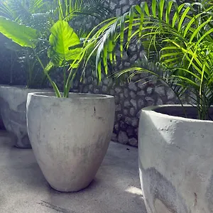 https://bau-tulum.allrivieramayahotels.com